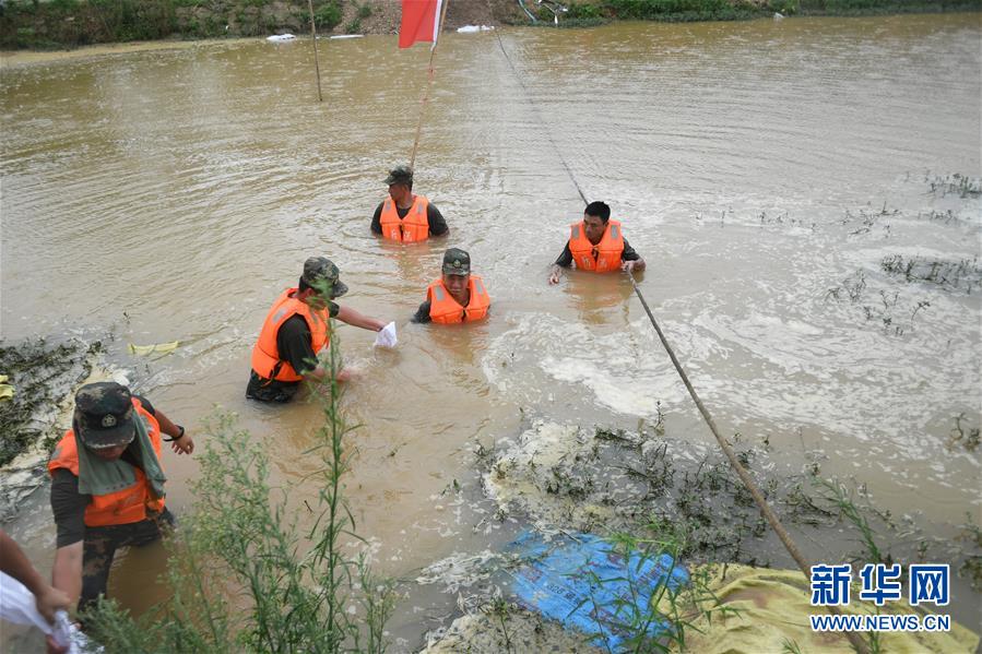 （防汛抗洪&middot;圖文互動(dòng)）（1）&ldquo;大堤上有了&lsquo;導(dǎo)彈綠&rsquo;，我們老百姓安了心&rdquo;