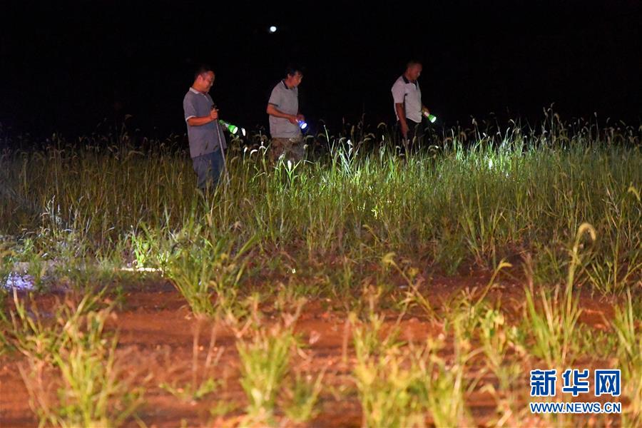 （防汛抗洪&middot;圖文互動）（2）&ldquo;保衛(wèi)家園，誰都不能是旁觀者&rdquo;&mdash;&mdash;夜訪洞庭湖大堤防汛一線