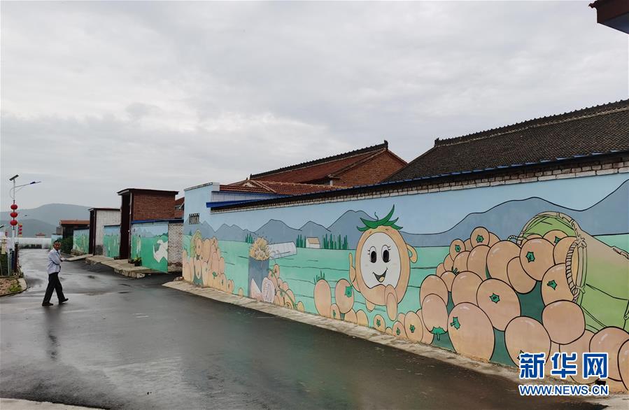 （決戰(zhàn)決勝脫貧攻堅&middot;圖文互動）（1）西紅柿小鎮(zhèn)的&ldquo;致富經(jīng)&rdquo;