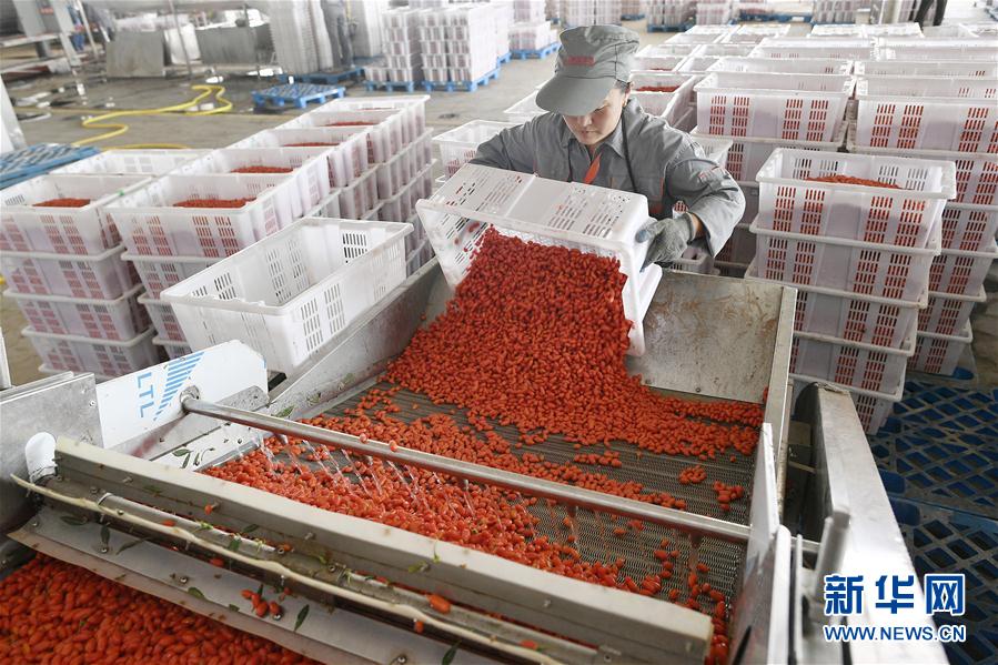 （走向我們的小康生活&middot;圖文互動）（1）西海固換了新模樣