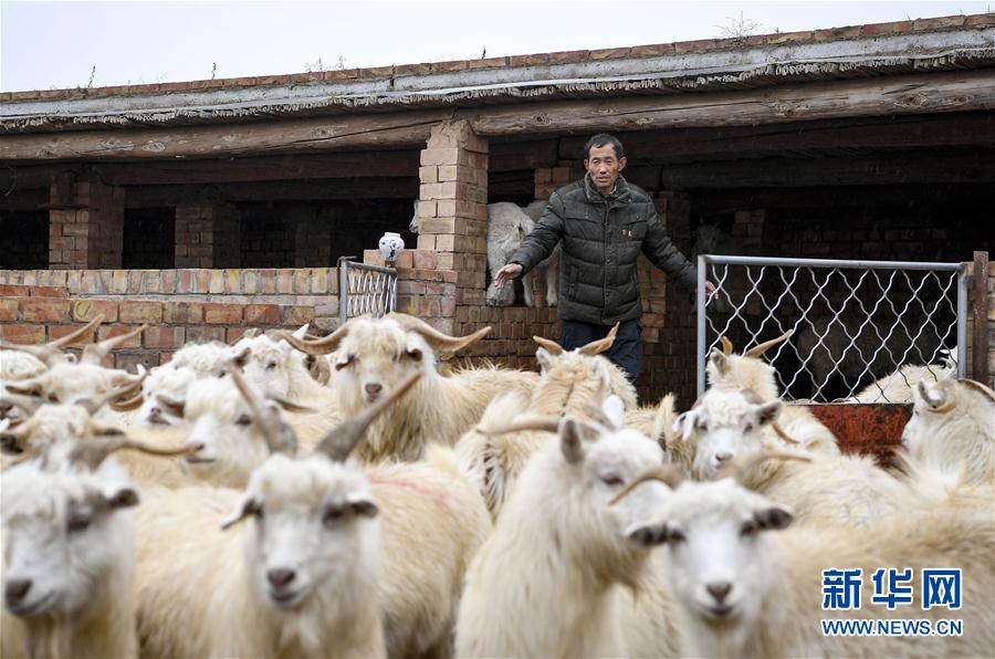 （走向我們的小康生活&middot;圖文互動）（6）西海固換了新模樣