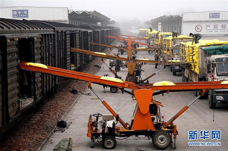 （在習(xí)近平新時(shí)代中國(guó)特色社會(huì)主義思想指引下&mdash;&mdash;新時(shí)代新作為新篇章&middot;習(xí)近平總書記關(guān)切事&middot;圖文互動(dòng)）（5）食為政首&mdash;&mdash;穩(wěn)住農(nóng)業(yè)基本盤增添發(fā)展底氣