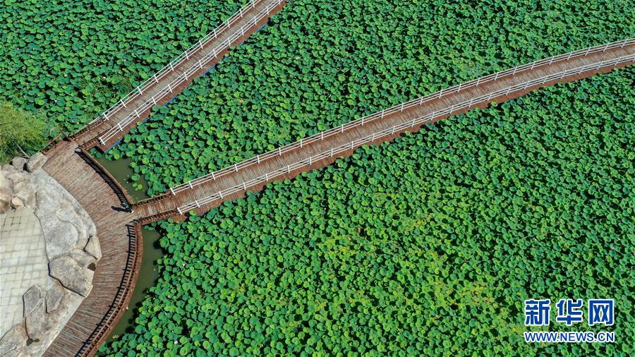（在習(xí)近平新時代中國特色社會主義思想指引下&mdash;&mdash;新時代新作為新篇章&middot;習(xí)近平總書記關(guān)切事&middot;圖文互動）（9）綠色映底蘊，山水見初心&mdash;&mdash;生態(tài)優(yōu)先、綠色發(fā)展持續(xù)造福群眾美好生活