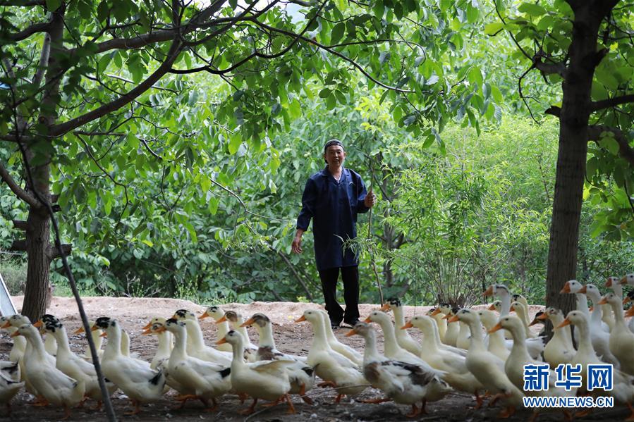 （新華全媒頭條&middot;圖文互動）（8）穩(wěn)中求進(jìn) 奮勇前進(jìn)&mdash;&mdash;從中央政治局會議看中國經(jīng)濟(jì)走勢