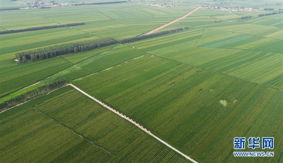 （在習(xí)近平新時(shí)代中國(guó)特色社會(huì)主義思想指引下&mdash;&mdash;新時(shí)代新作為新篇章&middot;習(xí)近平總書記關(guān)切事&middot;圖文互動(dòng)）（2）為黑土加&ldquo;油&rdquo;&mdash;&mdash;&ldquo;耕地中的大熊貓&rdquo;，我們這樣保護(hù)