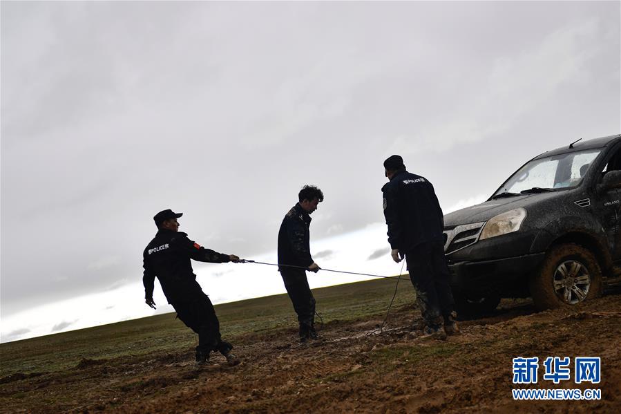 （圖文互動）（10）記者手記：可可西里，&ldquo;挪&rdquo;向&ldquo;藏羚羊大產(chǎn)房&rdquo;的14個半小時