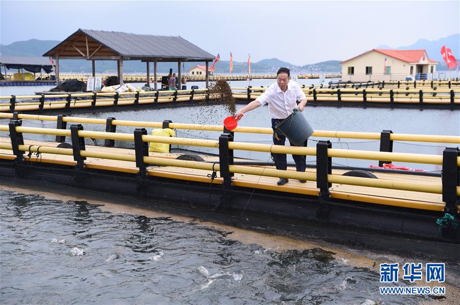 （新華全媒頭條&middot;走向我們的小康生活&middot;圖文互動(dòng)）（9）弱鳥(niǎo)先飛今翱翔&mdash;&mdash;閩東寧德振興啟示錄