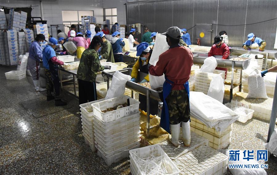 (新華全媒頭條·走向我們的小康生活·圖文互動(dòng))(3)幸福小康入畫來——齊魯大地描繪小康新畫卷