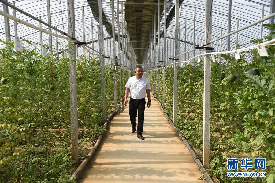 (新華全媒頭條·走向我們的小康生活·圖文互動(dòng))(11)幸福小康入畫來——齊魯大地描繪小康新畫卷