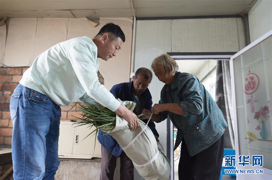 （決戰(zhàn)決勝脫貧攻堅&middot;圖文互動）（5）老張的菜園