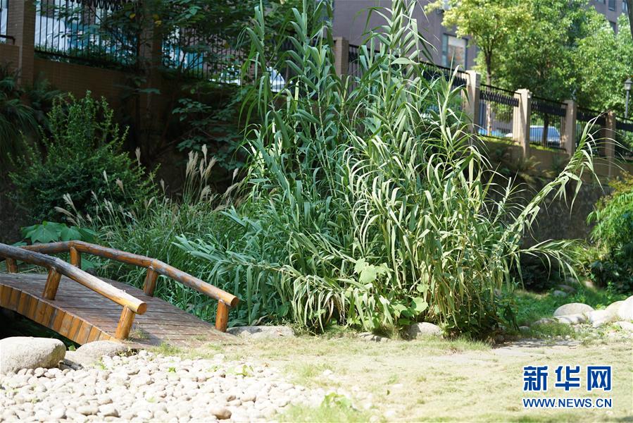 （圖文互動(dòng)）（4）&ldquo;綠灰白&rdquo;破解城市內(nèi)澇之&ldquo;囧&rdquo;