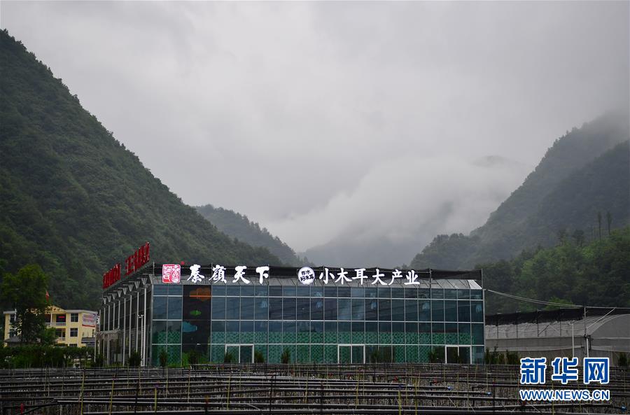 （新華全媒頭條&middot;走向我們的小康生活&middot;圖文互動(dòng)）（3）蹚出綠色小康路&mdash;&mdash;陜南秦巴山區(qū)的脫貧答卷