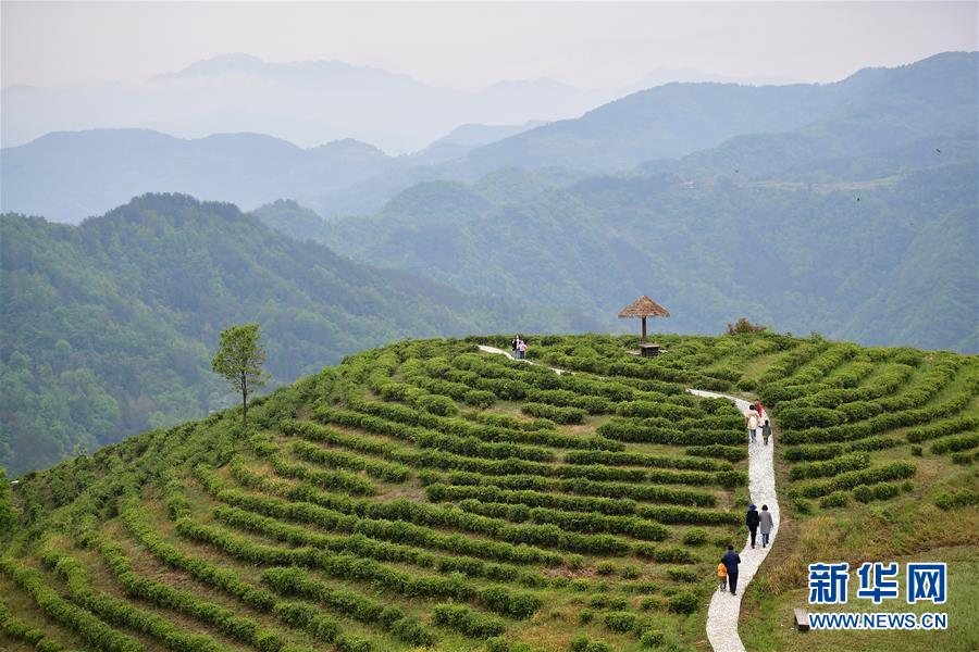 （新華全媒頭條&middot;走向我們的小康生活&middot;圖文互動(dòng)）（5）蹚出綠色小康路&mdash;&mdash;陜南秦巴山區(qū)的脫貧答卷