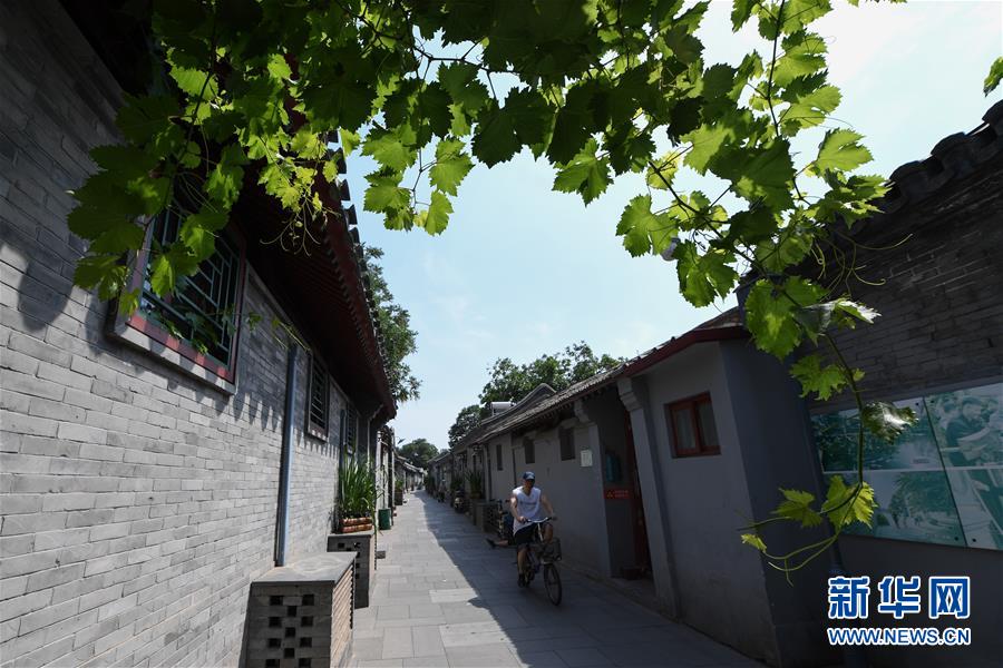 （走向我們的小康生活&middot;圖文互動(dòng)）（1）小橋、流水、書香、人家&mdash;&mdash;老北京胡同里的恬靜棲居