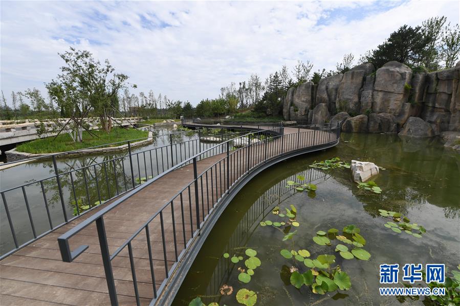 （新華全媒頭條&middot;走向我們的小康生活&middot;圖文互動(dòng)）（2）&ldquo;繡&rdquo;出古都新生活&mdash;&mdash;城市精細(xì)化治理的北京探索