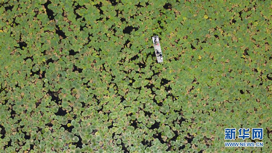 （在習(xí)近平新時(shí)代中國特色社會(huì)主義思想指引下&mdash;&mdash;新時(shí)代新作為新篇章&middot;習(xí)近平總書記關(guān)切事&middot;圖文互動(dòng)）（12）一切為了人民&mdash;&mdash;寫在全國防汛救災(zāi)取得階段性重大勝利之時(shí)