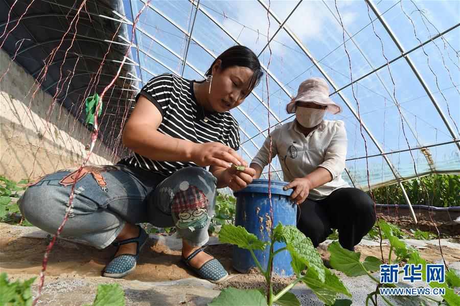 （新華全媒頭條&middot;走向我們的小康生活&middot;圖文互動）（5）&ldquo;苦甲&rdquo;不再，&ldquo;甘味&rdquo;綿長&mdash;&mdash;脫貧攻堅的甘肅味道