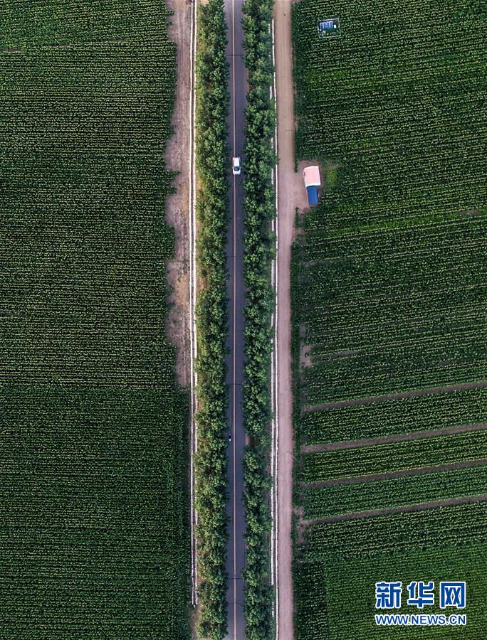 （新華全媒頭條&middot;圖文互動）（3）為現(xiàn)代農(nóng)業(yè)探新路&mdash;&mdash;來自吉林梨樹的田野報告