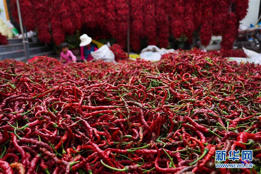 （走向我們的小康生活&middot;決戰(zhàn)決勝脫貧攻堅(jiān)&middot;圖文互動）（7）甘青交界處的跨越&mdash;&mdash;保安族、撒拉族的脫貧故事 