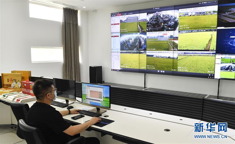 （新華全媒頭條&middot;走向我們的小康生活&middot;圖文互動）（4）黑土地上是我家&mdash;&mdash;在吉林，一瞥中國東北鄉(xiāng)村美麗未來