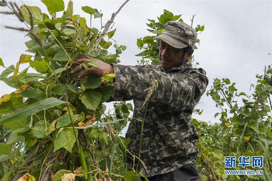 （決戰(zhàn)決勝脫貧攻堅(jiān)&middot;圖文互動(dòng)）（3）團(tuán)結(jié)村的李輝新傳