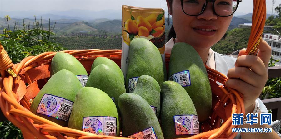 （決戰(zhàn)決勝脫貧攻堅(jiān)&middot;圖文互動(dòng)）（7）同飲一江水 攜手&ldquo;斬窮根&rdquo;&mdash;&mdash;深圳對(duì)口廣西河池、百色扶貧協(xié)作見(jiàn)聞