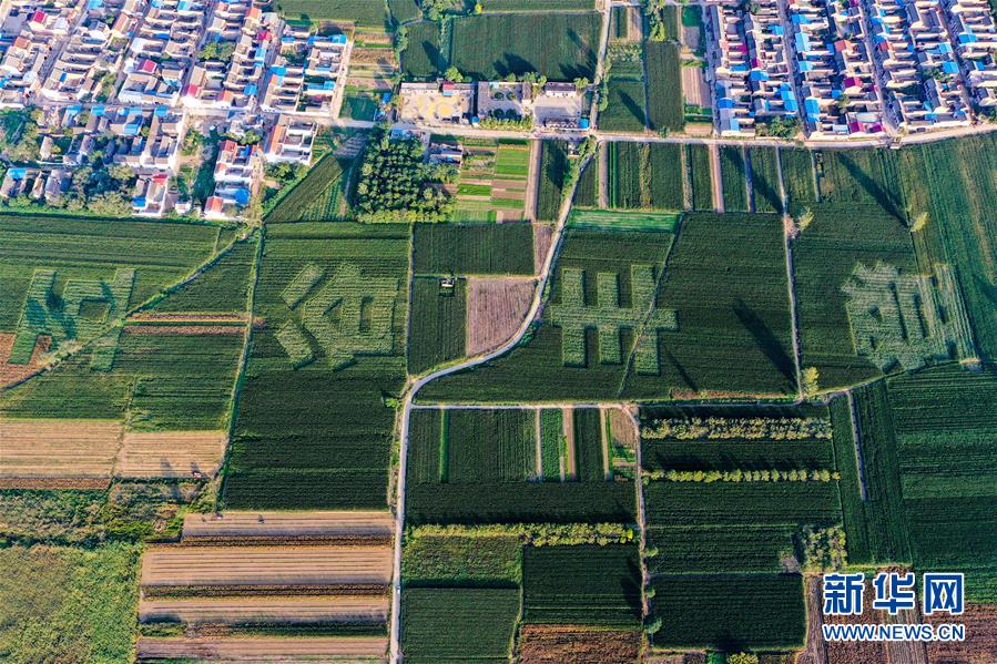 （新華全媒頭條&middot;圖文互動）（3）天道酬勤的大地贊歌&mdash;&mdash;寫在第三個中國農(nóng)民豐收節(jié)之際