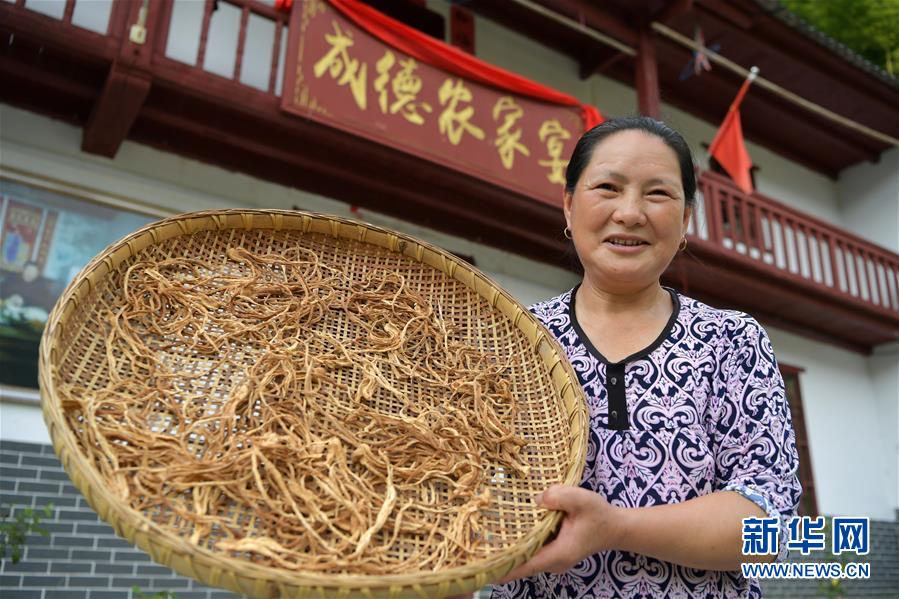 （新華全媒頭條&middot;走向我們的小康生活&middot;圖文互動）（4）神山村&ldquo;神奇&rdquo;何在？&mdash;&mdash;井岡山深處覓答案
