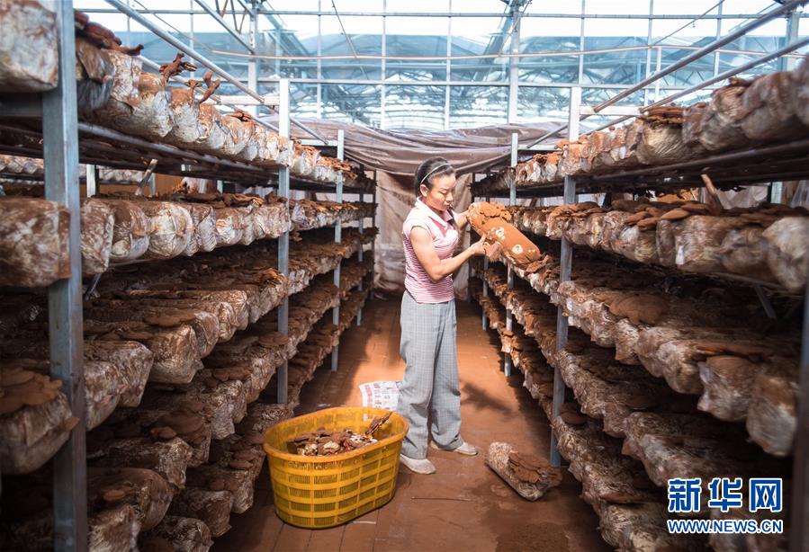 （新華全媒頭條&middot;走向我們的小康生活&middot;圖文互動）（3）特殊之年，荊楚大地書寫不平凡的答卷