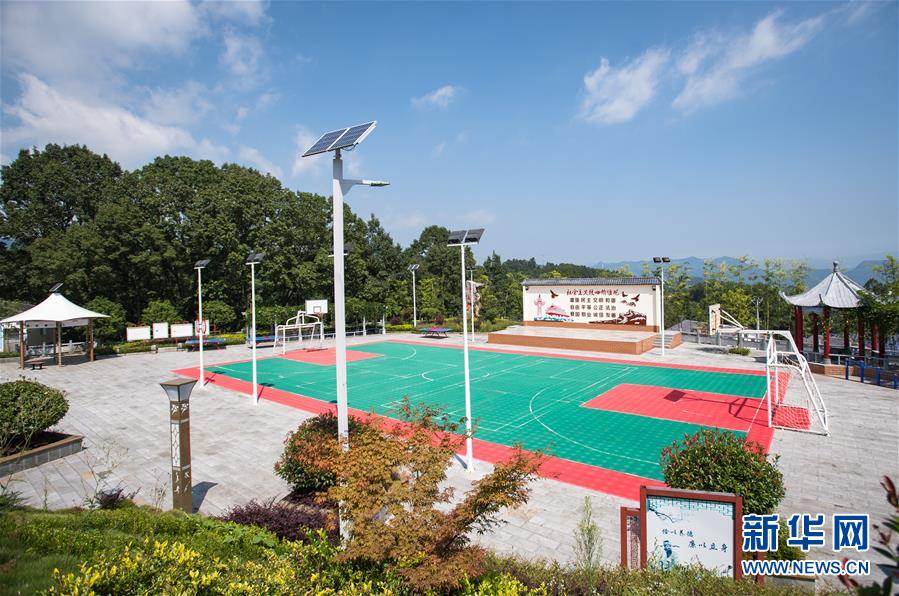 （新華全媒頭條&middot;走向我們的小康生活&middot;圖文互動）（6）特殊之年，荊楚大地書寫不平凡的答卷