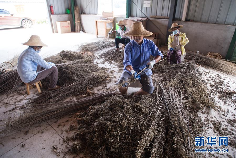 （新華全媒頭條&middot;走向我們的小康生活&middot;圖文互動）（10）特殊之年，荊楚大地書寫不平凡的答卷