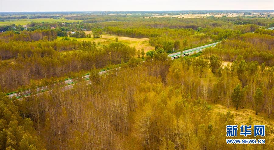 （在習(xí)近平新時代中國特色社會主義思想指引下&mdash;&mdash;新時代新作為新篇章&middot;習(xí)近平總書記關(guān)切事&middot;圖文互動）（3）綠意，在黃沙中鋪展&mdash;&mdash;我國防沙治沙紀(jì)實(shí)