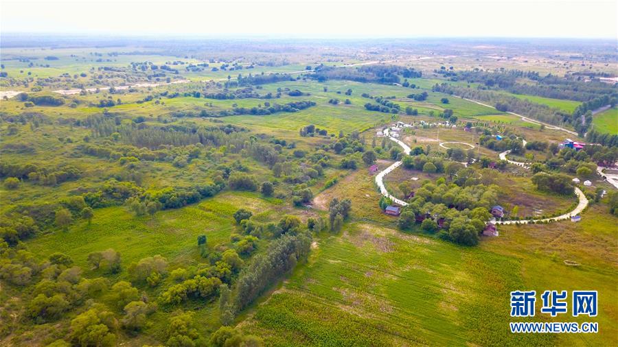 （在習(xí)近平新時代中國特色社會主義思想指引下&mdash;&mdash;新時代新作為新篇章&middot;習(xí)近平總書記關(guān)切事&middot;圖文互動）（1）綠意，在黃沙中鋪展&mdash;&mdash;我國防沙治沙紀(jì)實(shí)