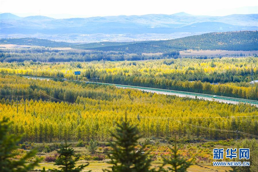 （在習(xí)近平新時代中國特色社會主義思想指引下&mdash;&mdash;新時代新作為新篇章&middot;習(xí)近平總書記關(guān)切事&middot;圖文互動）（7）綠意，在黃沙中鋪展&mdash;&mdash;我國防沙治沙紀(jì)實(shí)