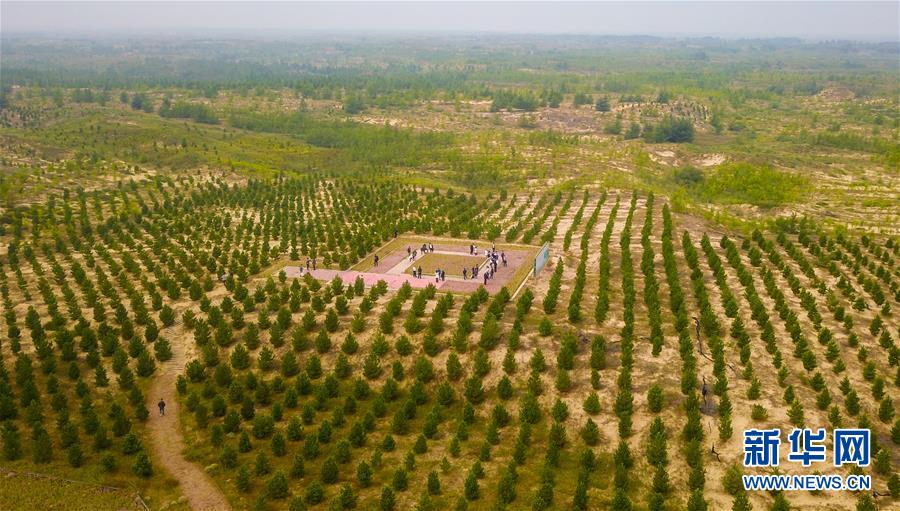 （在習(xí)近平新時代中國特色社會主義思想指引下&mdash;&mdash;新時代新作為新篇章&middot;習(xí)近平總書記關(guān)切事&middot;圖文互動）（2）綠意，在黃沙中鋪展&mdash;&mdash;我國防沙治沙紀(jì)實(shí)