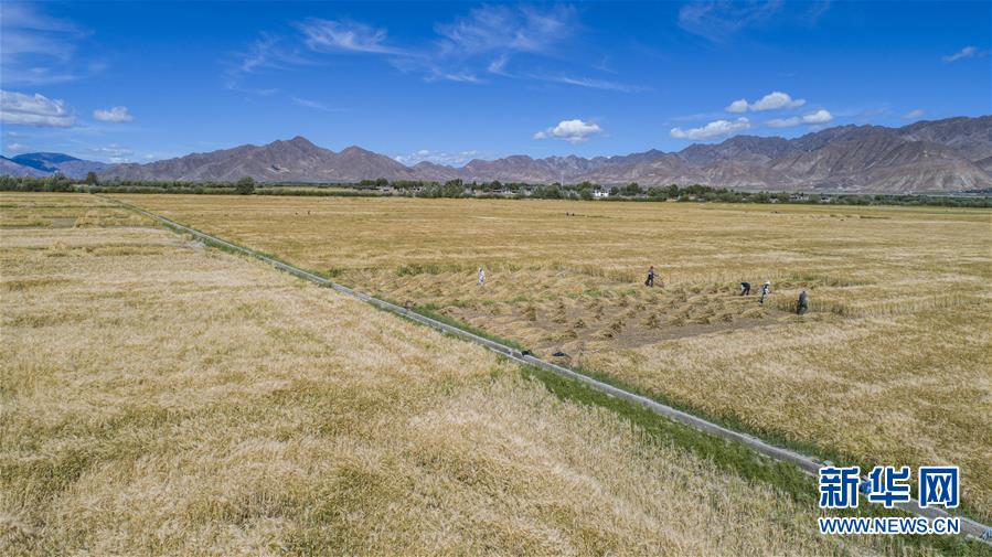 （新華全媒頭條&middot;走向我們的小康生活&middot;圖文互動）（11）扎西德勒，我們的新家園&mdash;&mdash;西藏易地扶貧搬遷搬出幸福美好新生活