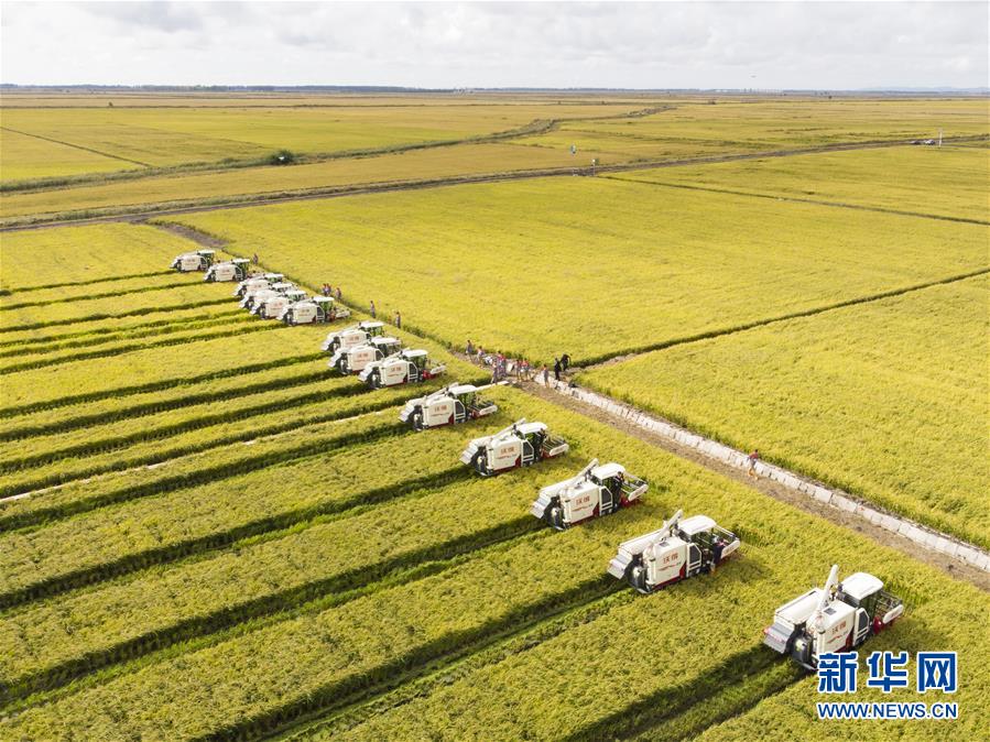 （新華全媒頭條&middot;圖文互動(dòng)）（15）奮斗結(jié)碩果，再寫新篇章&mdash;&mdash;寫在共和國71周年華誕之際