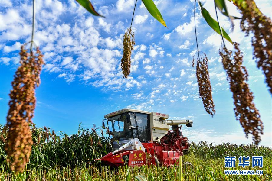 （新華全媒頭條&middot;圖文互動(dòng)）（17）奮斗結(jié)碩果，再寫新篇章&mdash;&mdash;寫在共和國71周年華誕之際