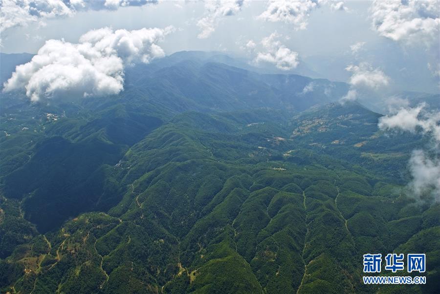 （熱點(diǎn)鮮報&middot;圖文互動）（1）善洲精神永相傳：留下一片綠洲 造福家鄉(xiāng)百姓