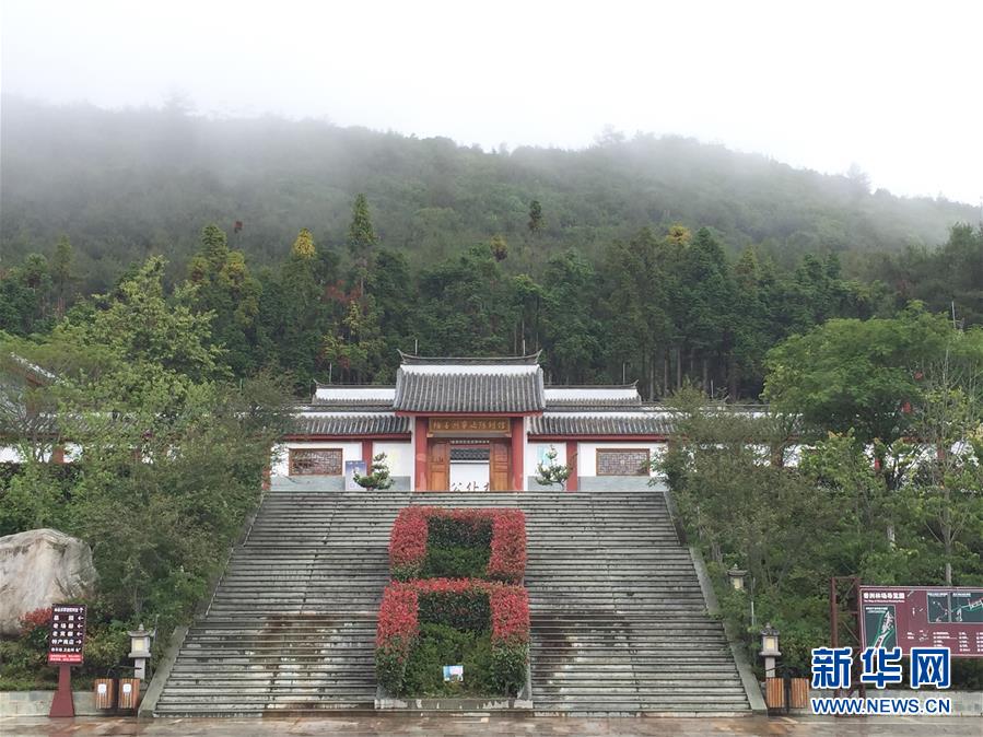 （熱點(diǎn)鮮報&middot;圖文互動）（5）善洲精神永相傳：留下一片綠洲 造福家鄉(xiāng)百姓