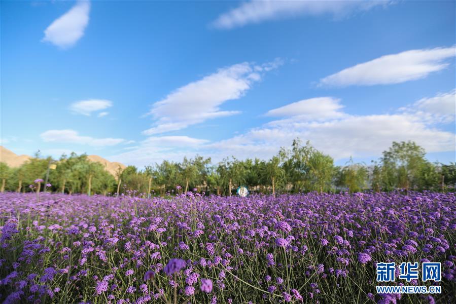 （新華全媒頭條&middot;圖文互動(dòng)）（7）大山的回響&mdash;&mdash;三個(gè)民族自治縣的70年巨變