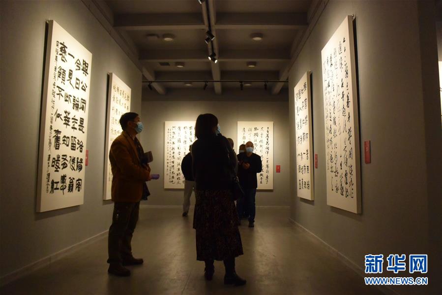 （新華網(wǎng)&middot;圖文互動(dòng)）（3）&ldquo;黃河明珠&mdash;&mdash;龍門(mén)石窟國(guó)際書(shū)法名家邀請(qǐng)展&rdquo;開(kāi)展