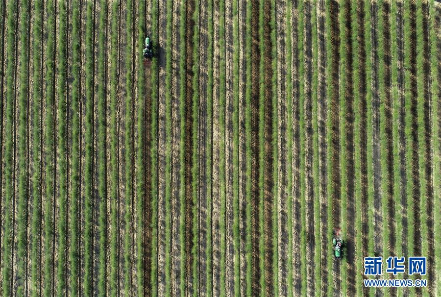 (新華全媒頭條·百萬大移民·圖文互動(dòng))(10)從大山深處到大河之畔——寧夏持續(xù)移民百萬“拔窮根”啟示