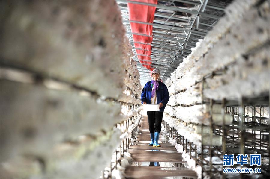 （習(xí)近平的小康故事&middot;圖文互動(dòng)）（6）&ldquo;我很期盼的一件事，就是讓鄉(xiāng)親們飽餐一頓肉&rdquo;&mdash;&mdash;習(xí)近平和脫貧攻堅(jiān)的故事