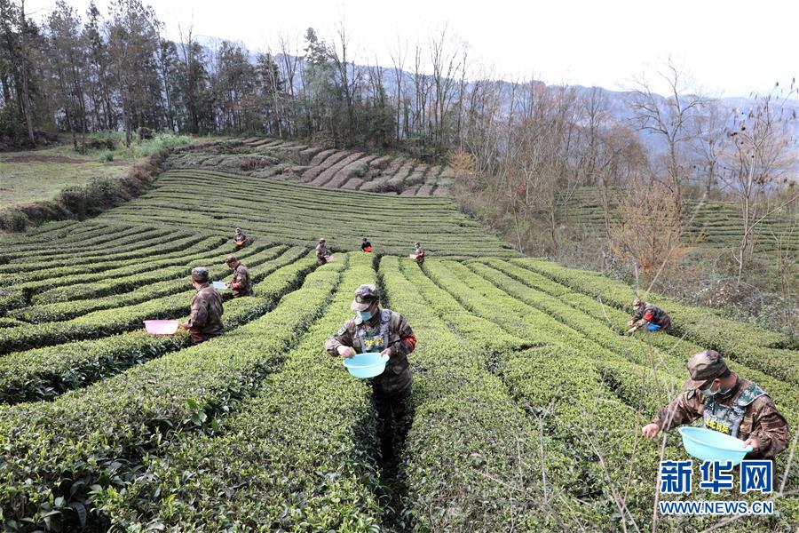 （圖文互動(dòng)）（2）百舸爭流千帆競&mdash;&mdash;&ldquo;十三五&rdquo;期間國防動(dòng)員事業(yè)取得歷史性突破