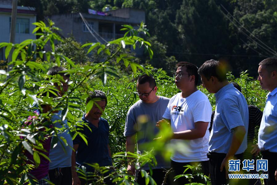 （決戰(zhàn)決勝脫貧攻堅&middot;圖文互動）（3）&ldquo;堵槍眼&rdquo;的脫貧戰(zhàn)怎么打？&mdash;&mdash;繼光村見聞