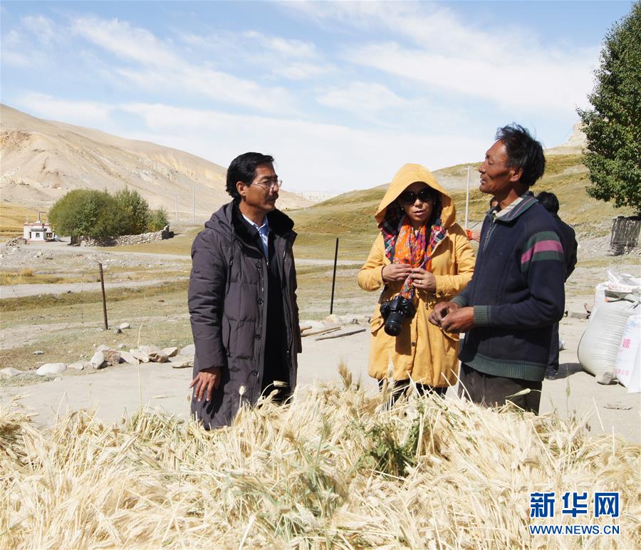（新華全媒頭條&middot;圖文互動(dòng)）（6）愿做高原一粒種 化作金穗撒人間&mdash;&mdash;追記我國青稞研究專家尼瑪扎西