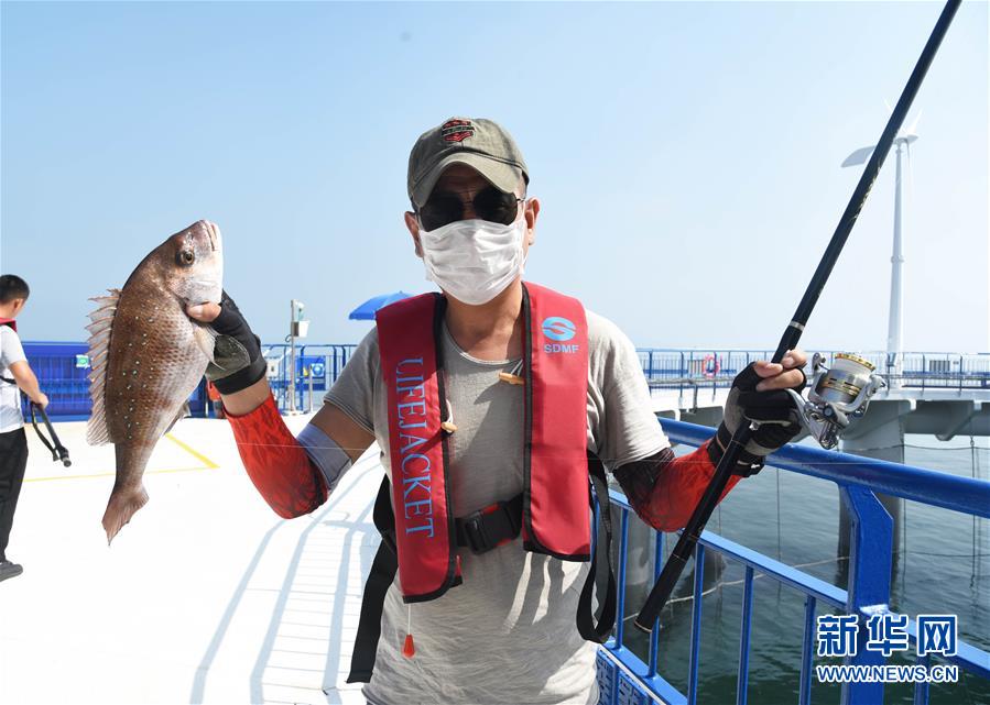 （新華全媒頭條&middot;圖文互動(dòng)）（4）&ldquo;拔&rdquo;海起牧場 &ldquo;耕&rdquo;海新牧歌