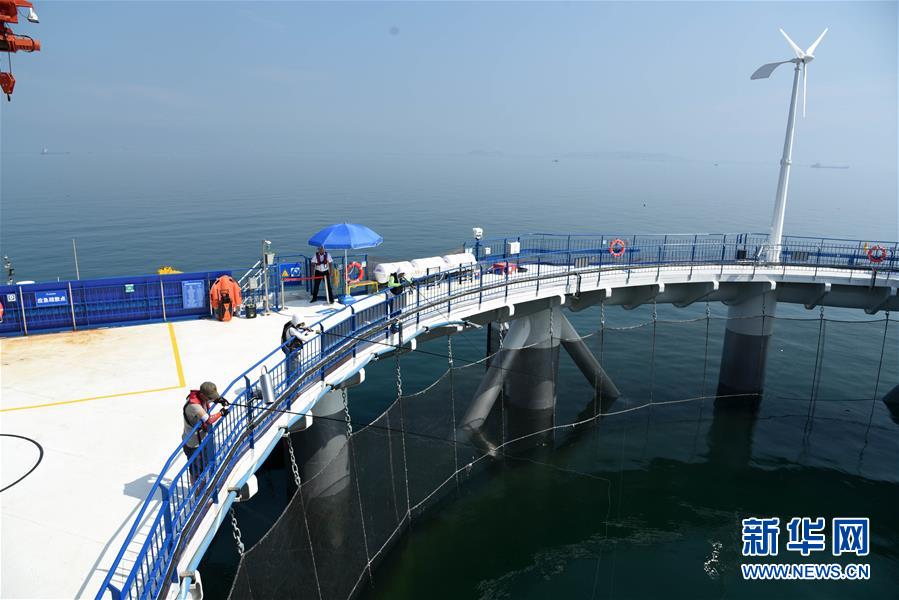 （新華全媒頭條&middot;圖文互動(dòng)）（5）&ldquo;拔&rdquo;海起牧場 &ldquo;耕&rdquo;海新牧歌