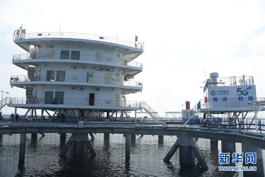 （新華全媒頭條&middot;圖文互動(dòng)）（6）&ldquo;拔&rdquo;海起牧場 &ldquo;耕&rdquo;海新牧歌